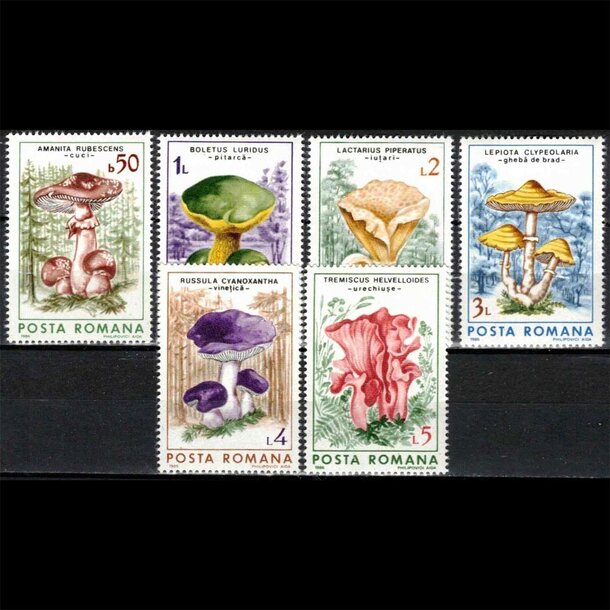 Séria známok rumunsko 1986 - huby - znamky-Rumunsko-4288