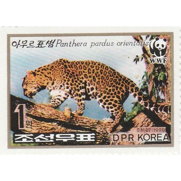 Lot fdc severná kórea 1998 - leopard amurský - set-fdc-korea-1998-3