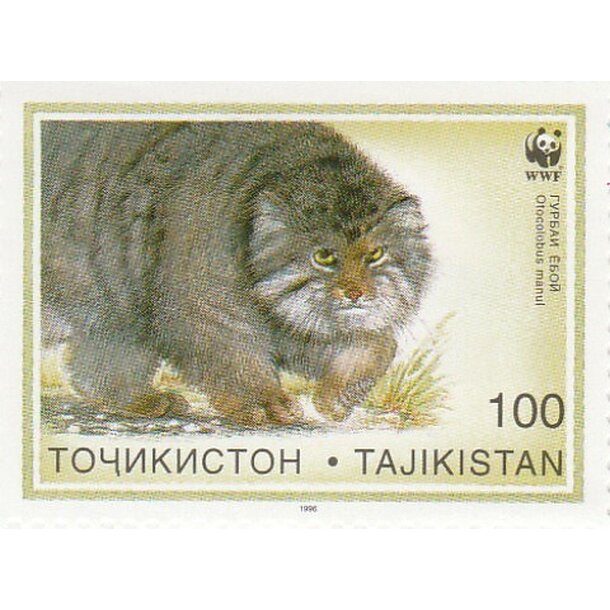 Lot fdc tadžikistan 1996 - manul - set-fdc-tadžikistan-1996-3