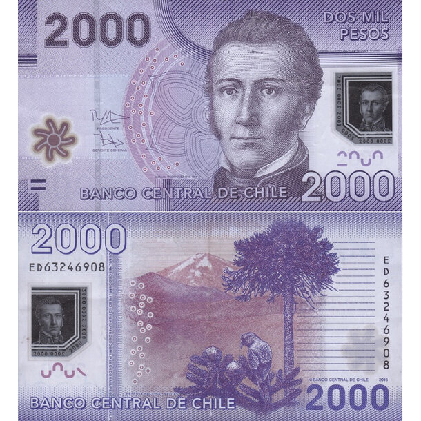 2000 pesos 2021 čile - Bankovka Čile 2000 Pesos 2021 - 162
