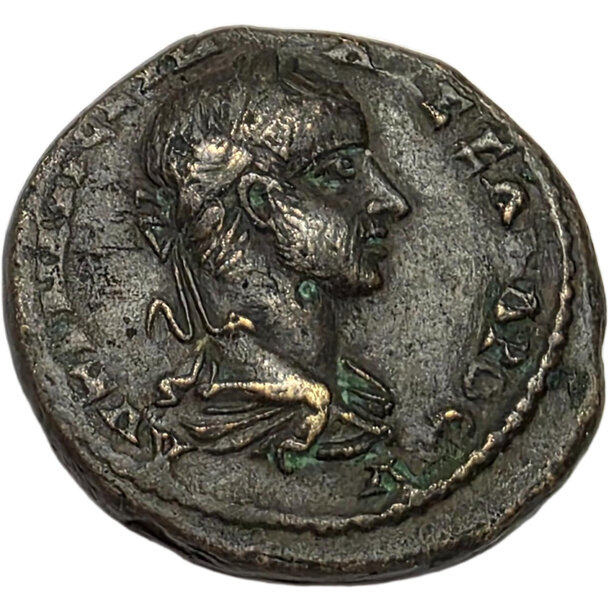 Severus alexander ae 24 moesia inferior - Severus Alexander AE 24 Moesia Inferior RPC VI 1572-1