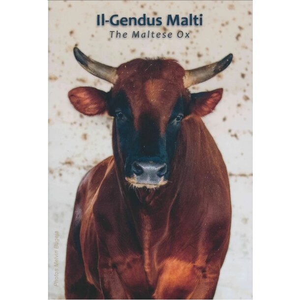 2 euro malta 2025 - maltský vôl - maltsky vôl