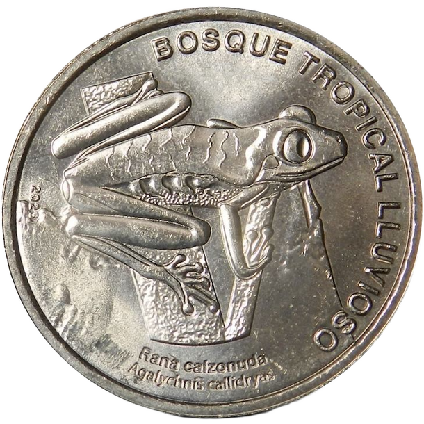 50 colones kostarika 2023 - rosnička červenooká - 50 Colones Kostarika 2023 - Rosnička červenooká-1