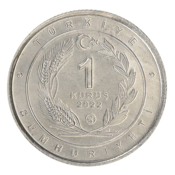 1 kurus turecko 2022 - anatolský leopard - 1k-turkey-2022-leopard-2