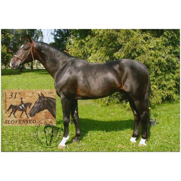 cm_slovensky-teplokrvnik