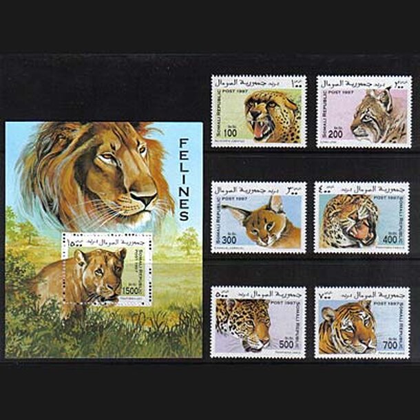 _vyr_932somalsko-mackovite-1997