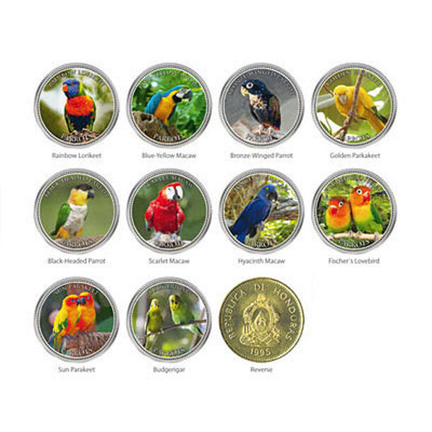 parrots