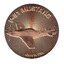 Medená minca fighter jet p51 mustang 1 unca - 1oz-copper-fighter-jet-p51-mustang-round-obverse_1