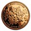 Medená minca snehuliak 1 unca - 1oz-copper-let-it-snow-snowman-round-reverse