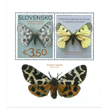 Hárček Slovensko 2025 - Sbírka motýlů