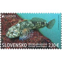 Známka Slovensko 2024 - Hlaváč pásoploutvý