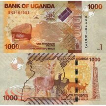 1000 Šilinků 2013 Uganda