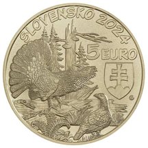 5 EURO Slovensko 2024 - Tetřev hlušec