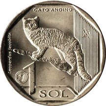 1 Sol Peru 2019 - Andská kočka