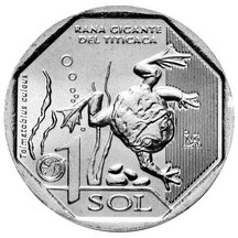 1 Sol Peru 2019 - Žába